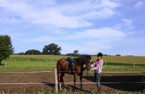 Taching a.See Apartment | Petersimmerhof