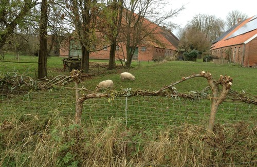 Rysum Apartment | Petit Paradis Rysum Krummhörn 4 persons 2 bedrooms