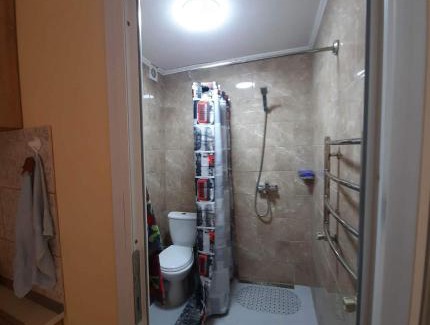 Nyzhnje Selyshche Apartment | Petite Chambre