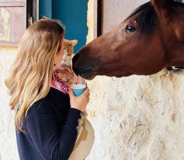 Wadi Musa Bed & Breakfast | Petra Royal Ranch