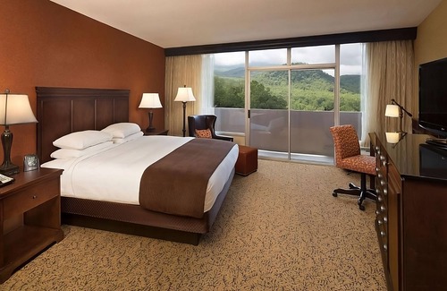 Gatlinburg Hotel | Pets Allowed, Indoor Swimming Pool! Gatlinburg's Hidden Gem!