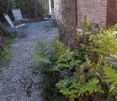 El Tesoro Apartment | Pez Espada