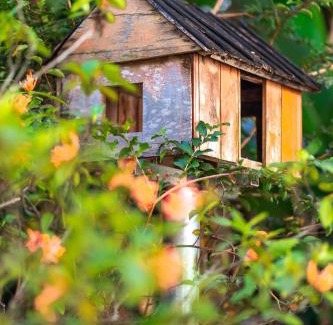 Son Trach House | Phong Nha Family Homestay