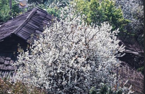 Muong La Hotel | Pi Nọong Homestay