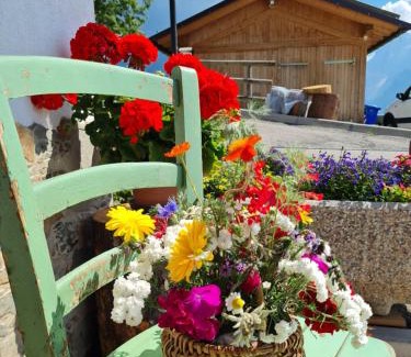 Colle Santa Lucia Apartment | Piccola Suite sul Civetta