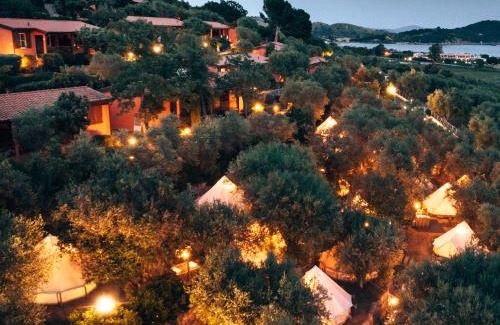 Talamone Other | Pigna Felice Talamone