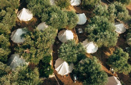 Talamone Other | Pigna Felice Talamone