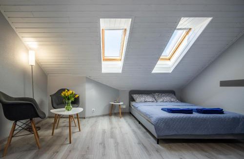 Nida Apartment | Pilkoji kopa