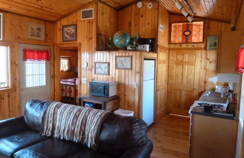 Carbondale Cabin | Pine Cabin on 30 Acres! 1 mi. from Carbondale, IL & SIUC Campus
