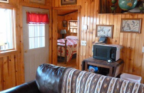 Carbondale Cabin | Pine Cabin on 30 Acres! 1 mi. from Carbondale, IL & SIUC Campus