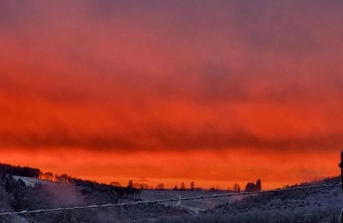 Sart-lez-Spa Apartment | PINE COTTAGE- 5 minutes Francorchamps - charme -piscine-calme-jardin