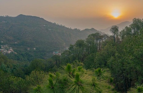 Barog House | Pine Dream Resort l Kasauli l By BlackPearl