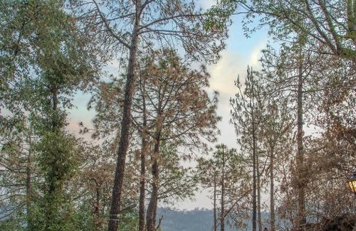 Barog House | Pine Dream Resort l Kasauli l By BlackPearl