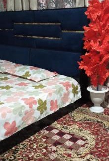 Srinagar House | Pine Guest House sawan tangmarg