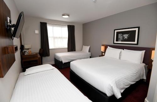 Dunbar Hotel | Pine Marten, Dunbar by Marston's Inns