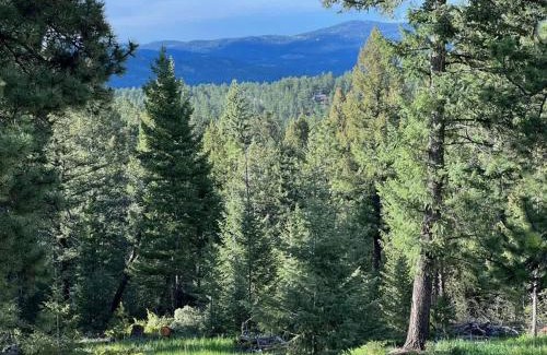 Evergreen Meadows House | Pinebox at Evergreen Modern 20Acres -Serene-Creek