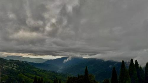 Darjeeling House | Pines and Beyond cottage