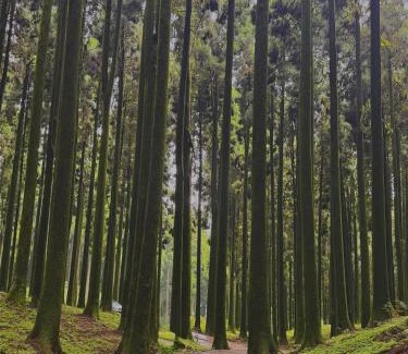 Darjeeling House | Pines and Beyond cottage