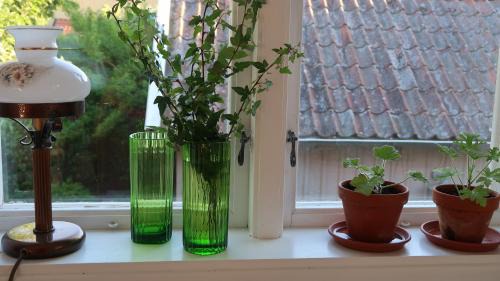 Granna House | Pinglans bakficka