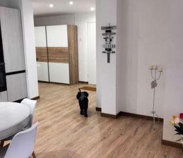 Sturla Apartment | PISI HOME, 2 min dalla spiaggia e dall' Ospedale Gaslini