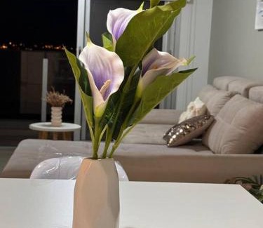 Posadas Apartment | PISO 12 Edif Alarif Trench