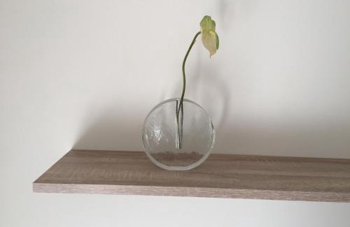 Fontajau Apartment | PISO CÉNTRICO DE 100 M2