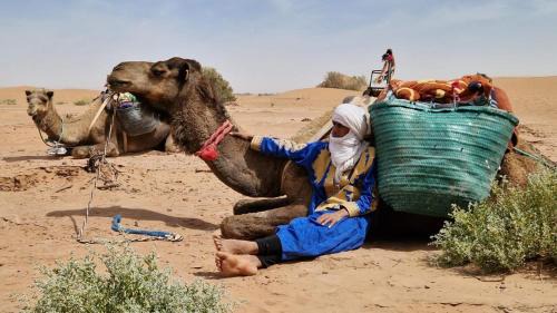 M'Hamid El Ghizlane Hotel | Planet Camp Désert Tours