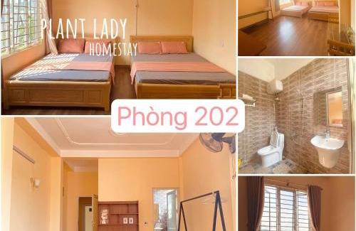 Cao Bang House | Plant Lady Homestay Cao Bằng
