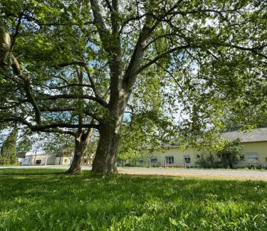 Marcali Apartment | Platán Apartman