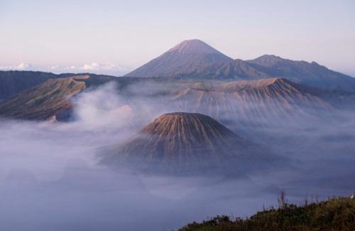 Tosari Hotel | Plataran Bromo