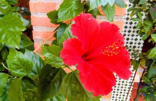 Jerez de los Caballeros House | Plaza del Pacifico La Bazana
