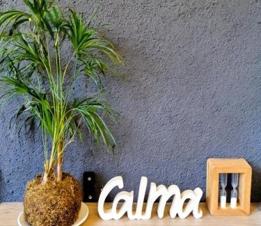 Historic Center Apartment | Plaza Independencia