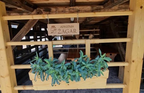 Olimje House | Počitniška hišica Žagar