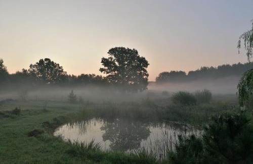 Vilnius County Other | Po šimtamečiais ąžuolais