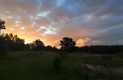 Vilnius County Other | Po šimtamečiais ąžuolais