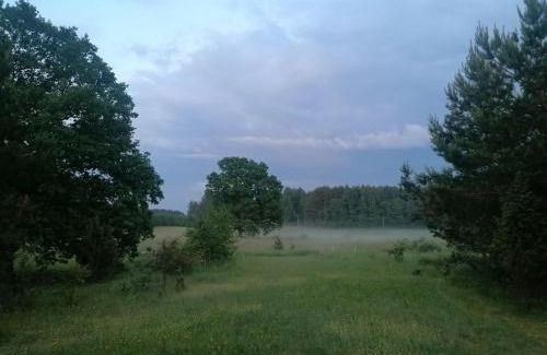 Vilnius County Other | Po šimtamečiais ąžuolais