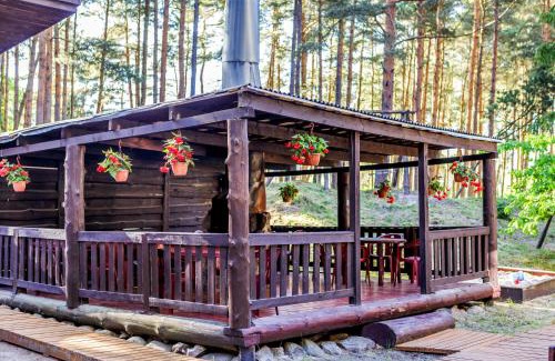 Sventoji Cabin | Po Švyturiu