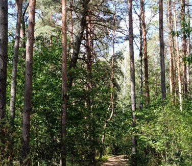 Tykocin Apartment | Po Prostu Las