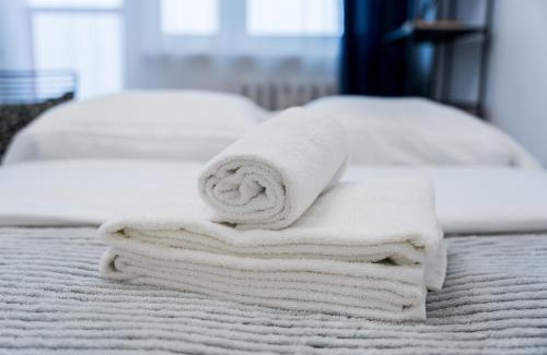 Stare Miasto District Apartment | Pod Lipami Charming Apartment