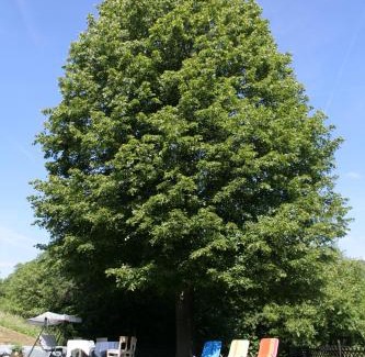 Slovenske Konjice House | Pod Orehi Guest House