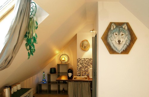 Monki Apartment | poddasze wilka