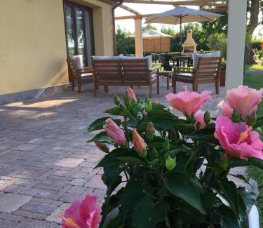 San Giuliano Terme Apartment | Podere Gabry