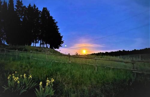 Rapolano Terme House | Podere La Selva