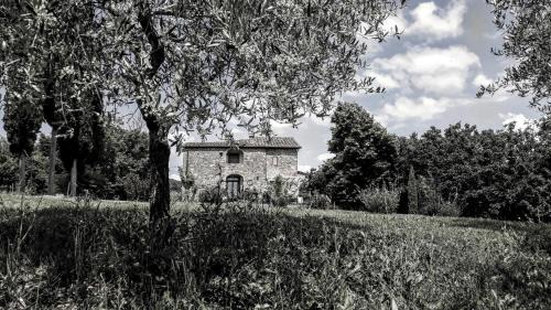 Sinalunga House | Podere Pievina Delle Corti - Dimora di Campagna