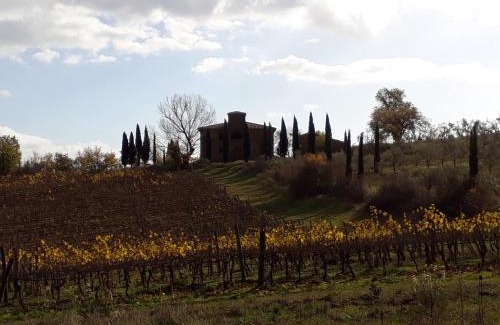 Sinalunga House | Podere Pievina Delle Corti - Dimora di Campagna