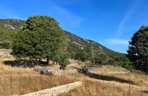 Nerezine Apartment | Podgora Experience Suite II