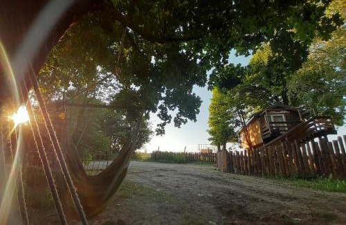 gmina Narew Cabin | Podlasie Domek na drzewach