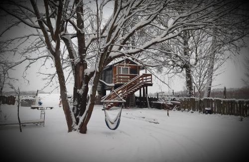 gmina Narew Cabin | Podlasie Domek na drzewach