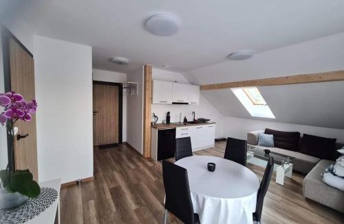 Szczytna Apartment | Podniebne Góry