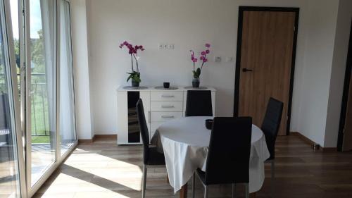 Szczytna Apartment | Podniebne Góry